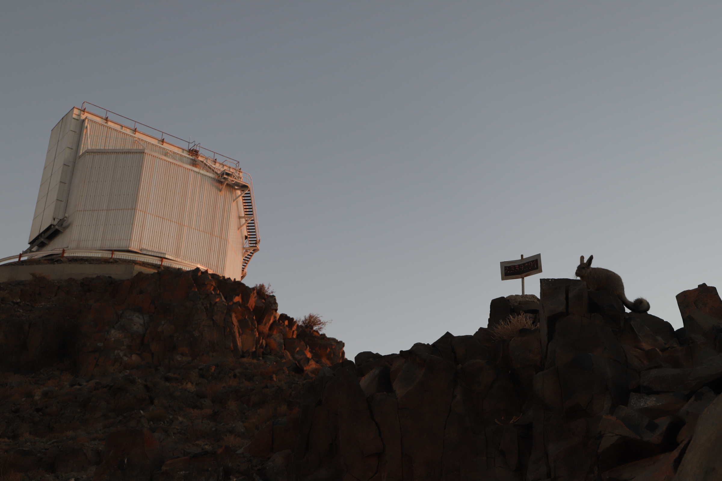 Viscacha close to the New Technology Telescope